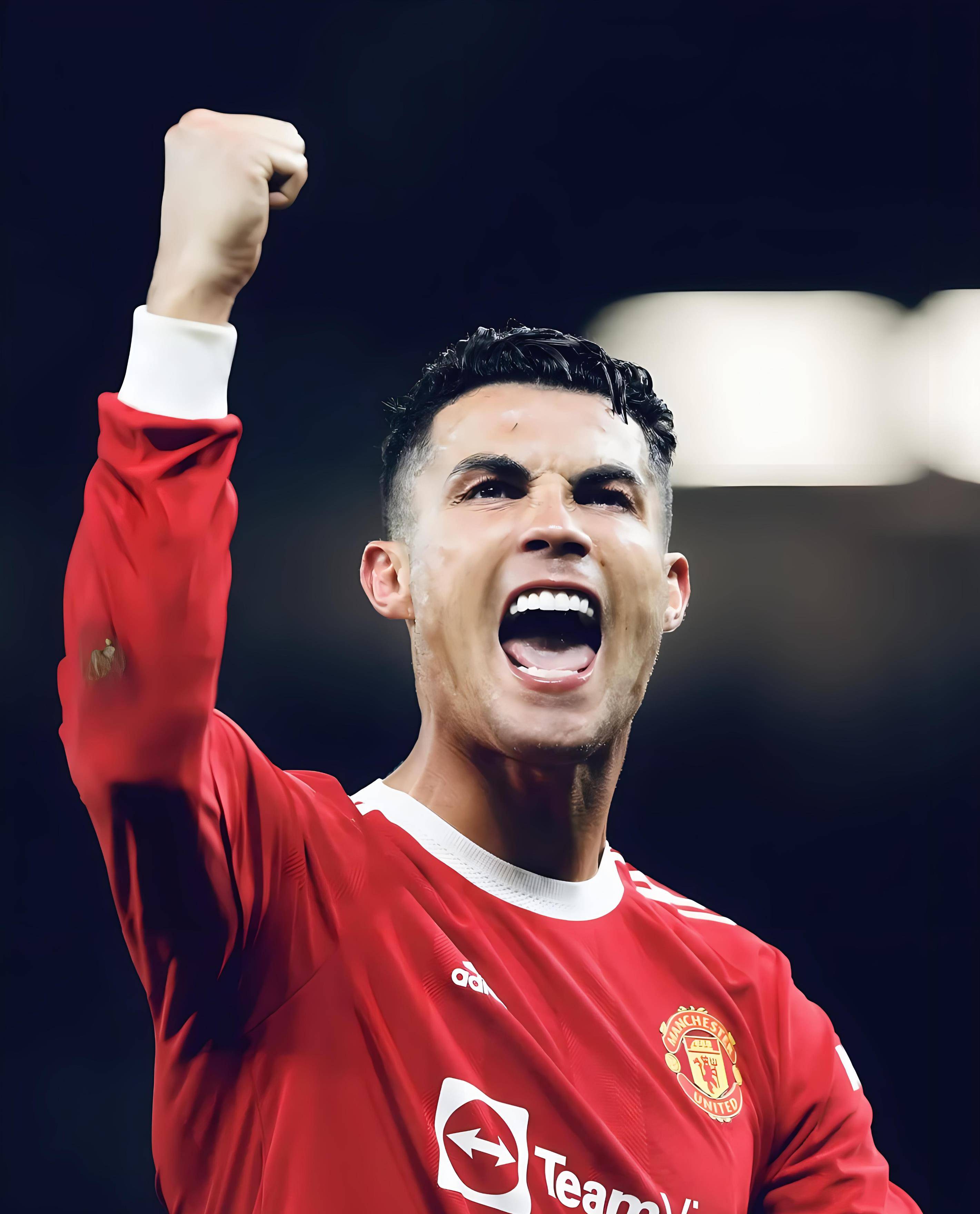 portal-content-structure